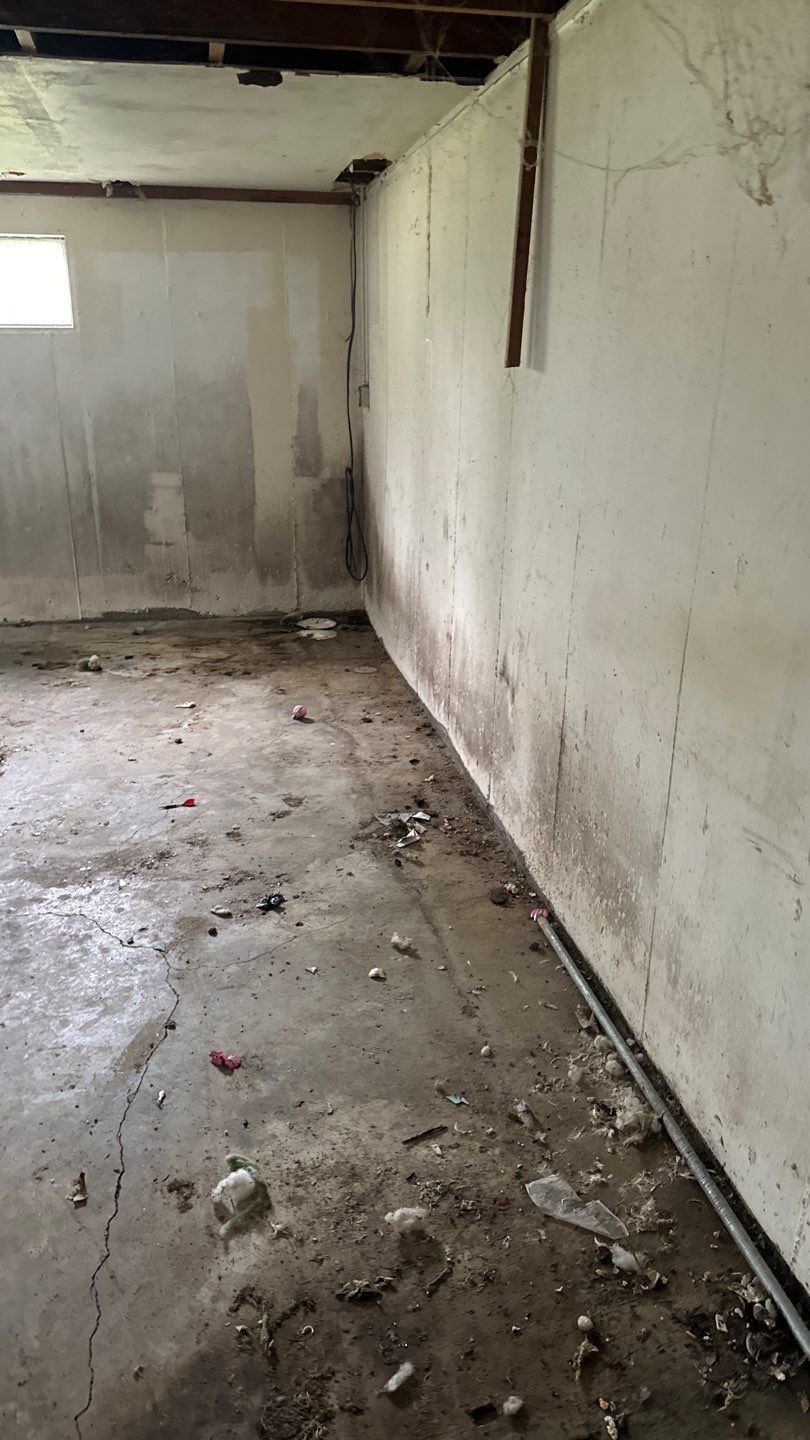 Wet, dirty concrete floor in the unfinished basement