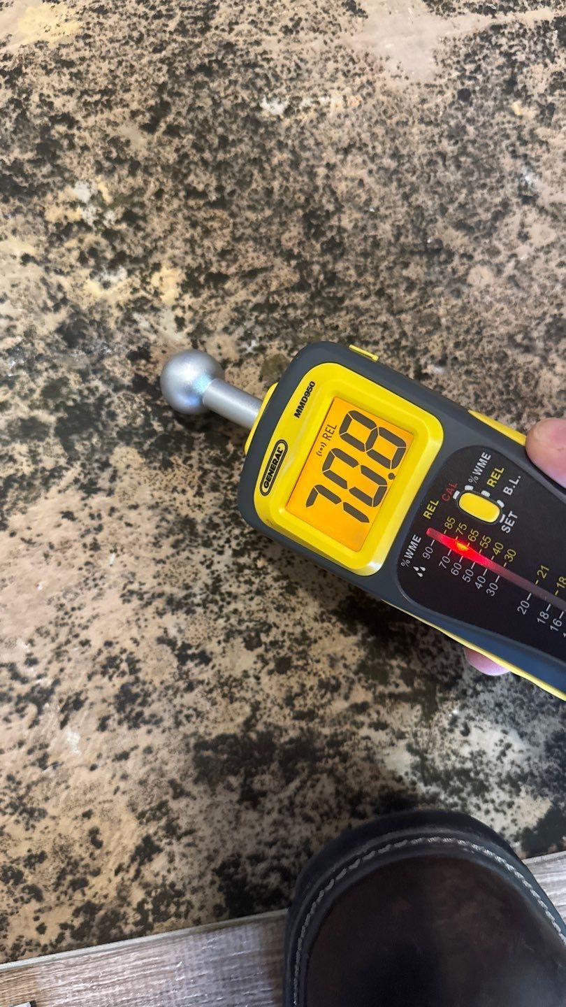 Moisture meter reading the mold-damaged floor