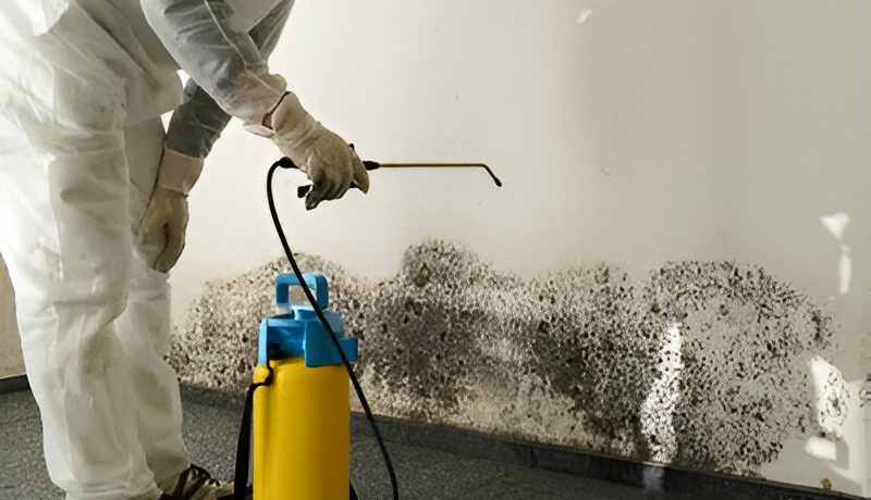 Mold Mitigation MCC